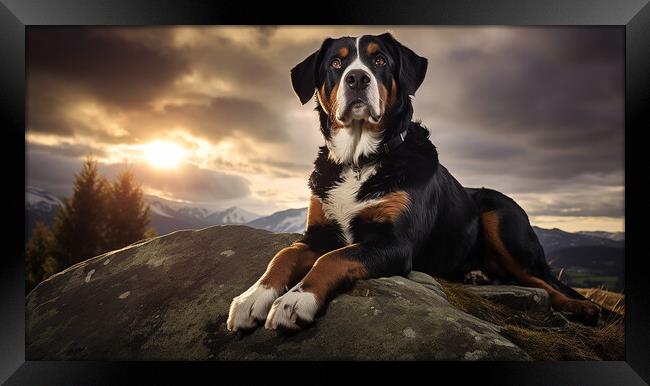 Entlebucher Mountain Dog Framed Print by K9 Art
