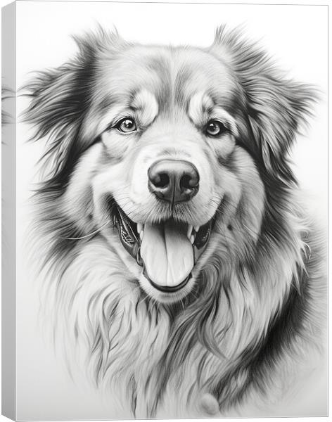 Estrela Mountain Dog Pencil Drawing Canvas Print by K9 Art
