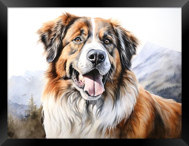Estrela Mountain Dog Pencil Drawing Framed Print by K9 Art