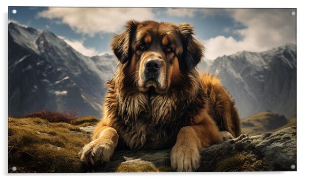 Estrela Mountain Dog Acrylic by K9 Art
