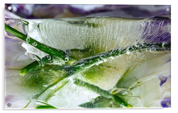  Abstraction of beautiful flowers in ice Acrylic by Olga Peddi