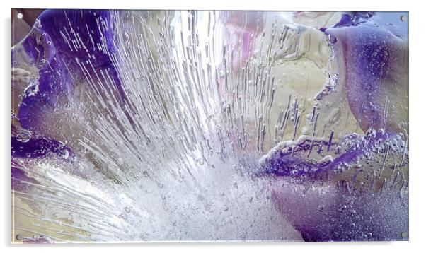  Abstraction of beautiful flowers in ice Acrylic by Olga Peddi