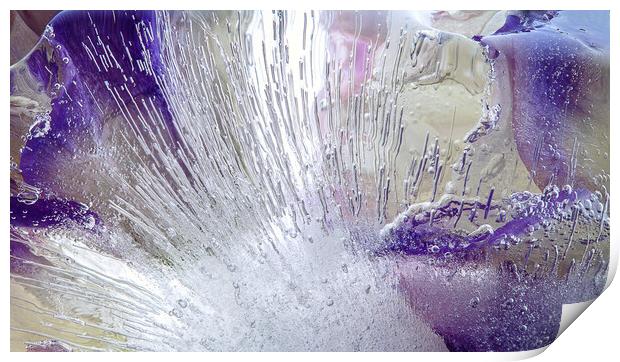  Abstraction of beautiful flowers in ice Print by Olga Peddi
