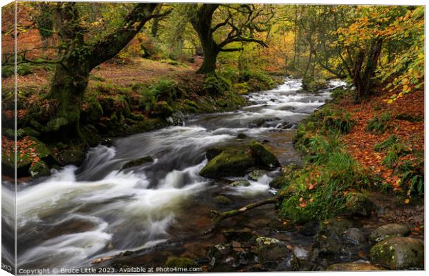 Dartmoor River in Autumn Canvas Print by Bruce Little