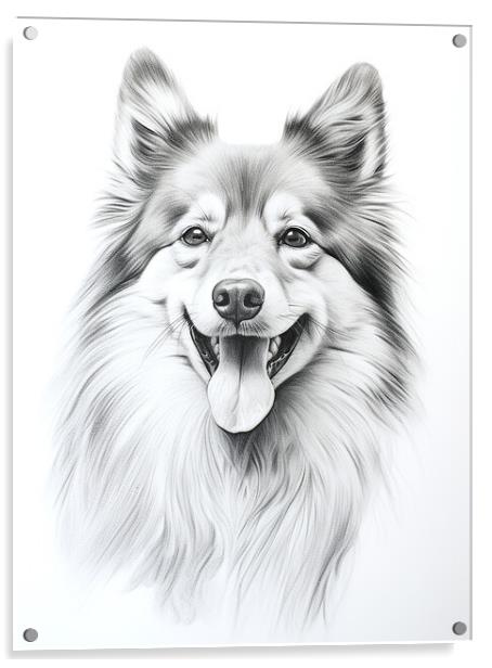 Finnish Lapphund Pencil Drawing Acrylic by K9 Art