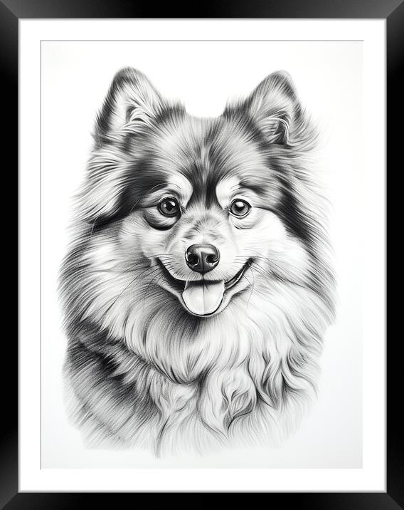 Finnish Lapphund Pencil Drawing Framed Mounted Print by K9 Art