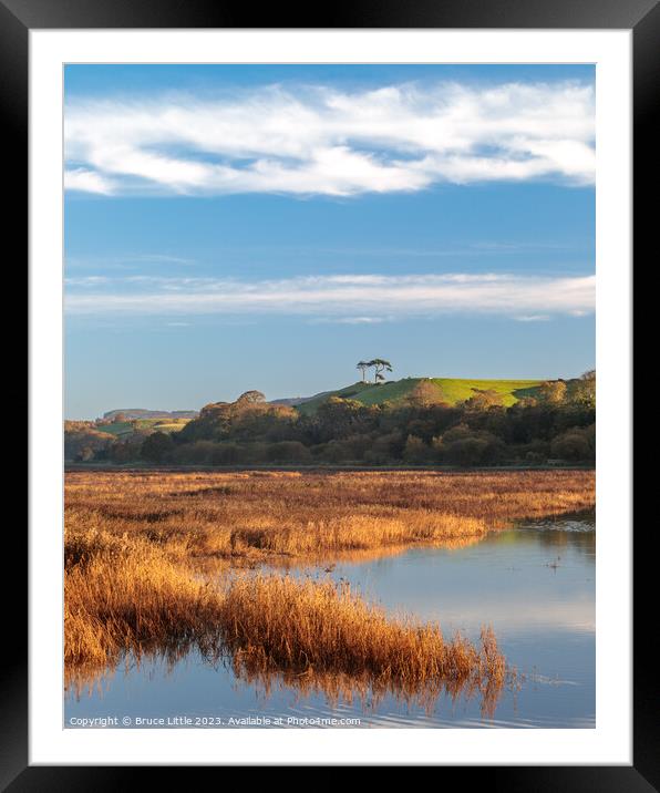 Golden morning at the River Otter Framed Mounted Print by Bruce Little