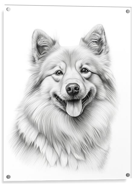 Finnish Spitz Pencil Drawing Acrylic by K9 Art