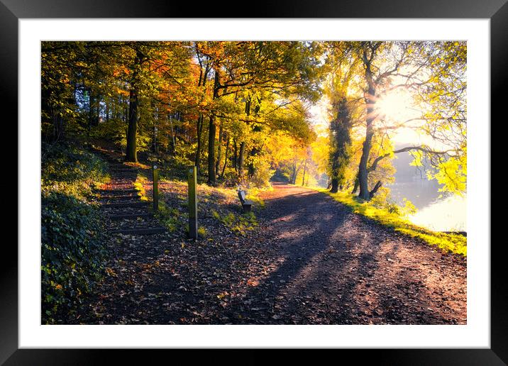 Newmillerdam West Yorkshire: Autumn Sunrise Framed Mounted Print by Tim Hill