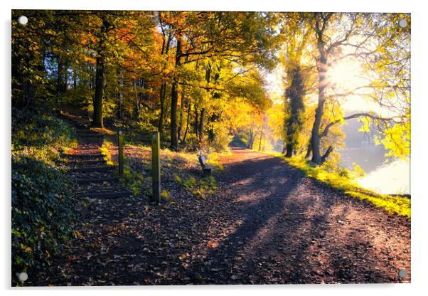 Newmillerdam West Yorkshire: Autumn Sunrise Acrylic by Tim Hill