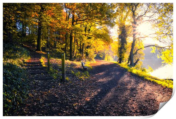 Newmillerdam West Yorkshire: Autumn Sunrise Print by Tim Hill