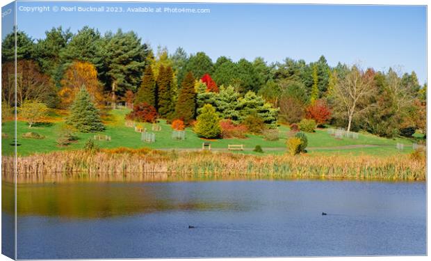 Marshall's Lake in Autumn at Bedgebury Kent Canvas Print by Pearl Bucknall
