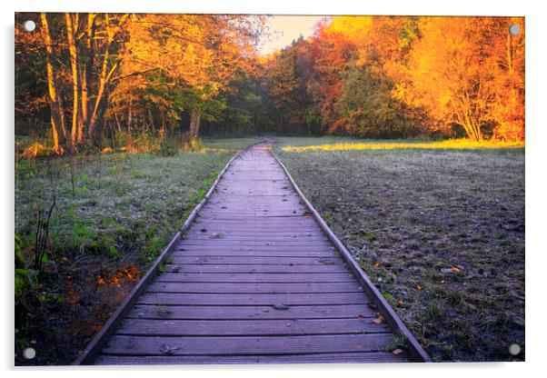 Newmillerdam Boardwalk: November colours Acrylic by Tim Hill