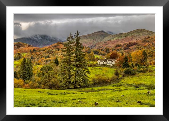Autumn in the Lakes Framed Mounted Print by Jack Marsden