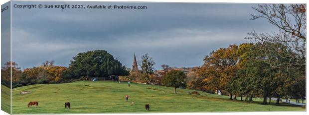 Autumnal scene - Boltons bench, Lyndhurst, New Forest Canvas Print by Sue Knight