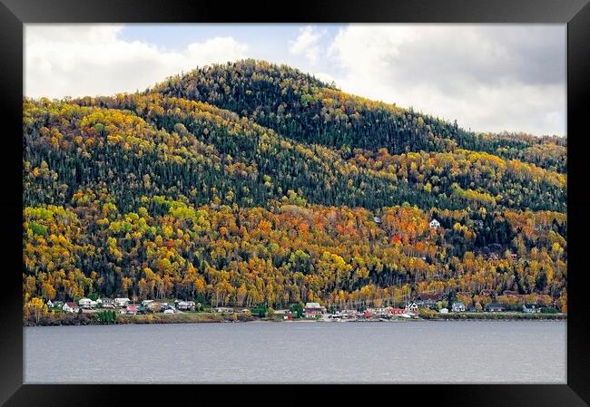 Autumn Colours in Saguenay Fjord Canada Framed Print by Martyn Arnold