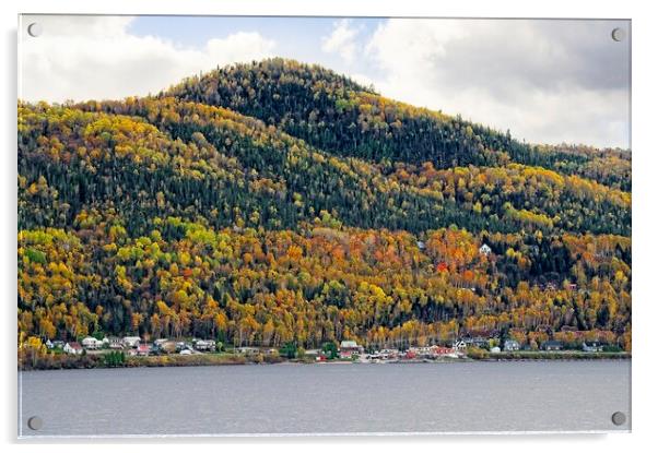 Autumn Colours in Saguenay Fjord Canada Acrylic by Martyn Arnold