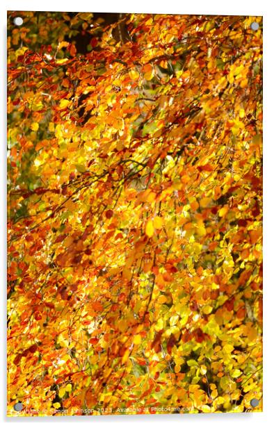 Autumn beech leaves  Acrylic by Simon Johnson