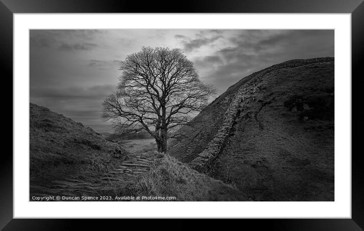 Sycamore Gap Framed Mounted Print by Duncan Spence