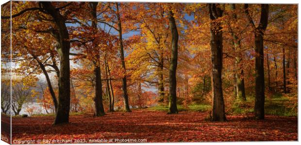 Autumn Colours Around Keswick Canvas Print by Ray Pritchard