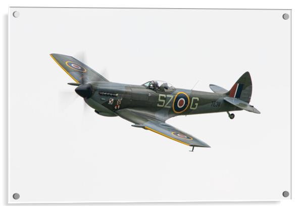 Spitfire TE311 Acrylic by J Biggadike