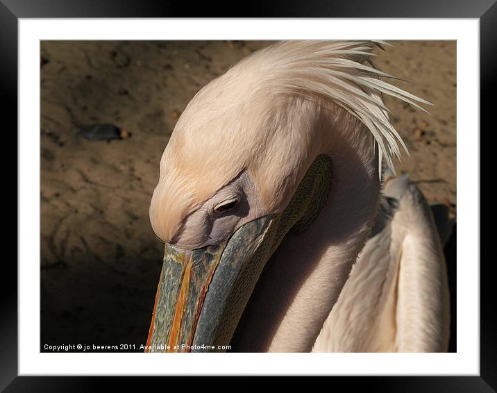 shy Framed Mounted Print by Jo Beerens