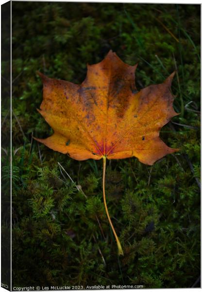 Autumn Leaf Canvas Print by Les McLuckie