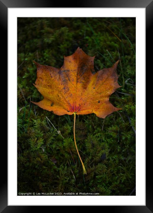 Autumn Leaf Framed Mounted Print by Les McLuckie