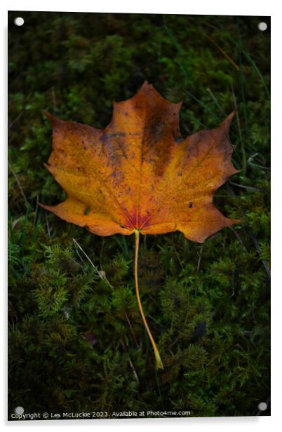 Autumn Leaf Acrylic by Les McLuckie