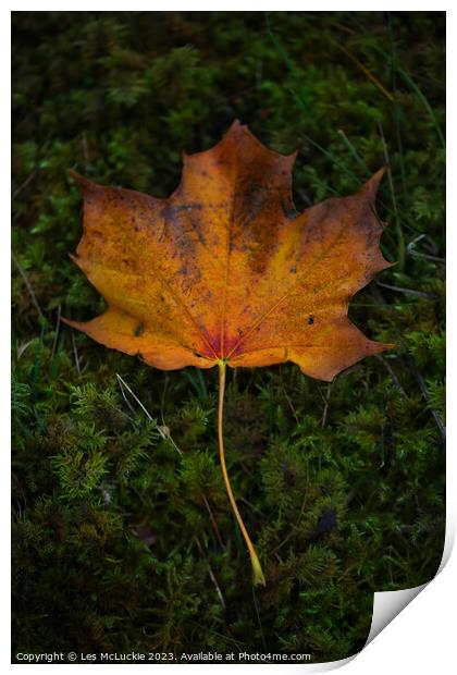 Autumn Leaf Print by Les McLuckie