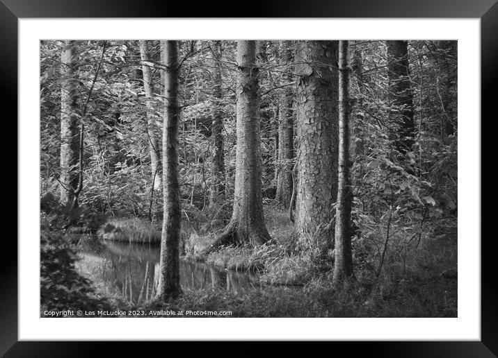 Pond on the forest floor Framed Mounted Print by Les McLuckie