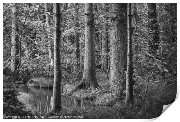 Pond on the forest floor Print by Les McLuckie