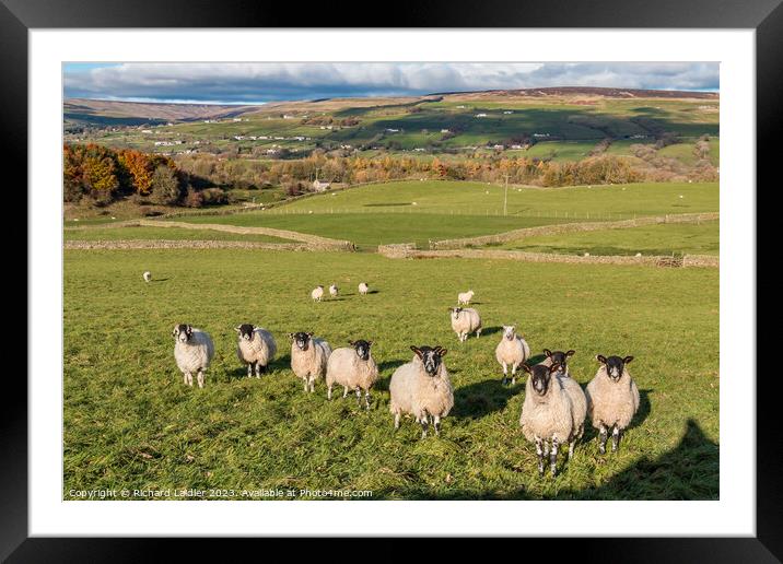Bail Green Farm, Mickleton, Teesdale Framed Mounted Print by Richard Laidler