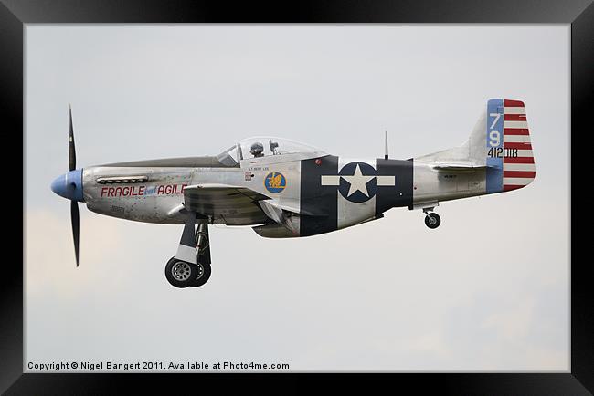 North American P-51D Mustang Framed Print by Nigel Bangert