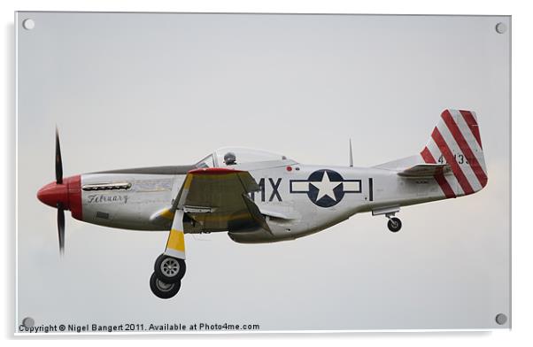 North American P-51D Mustang Acrylic by Nigel Bangert