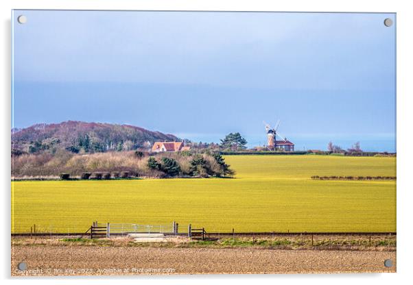 Weybourne Windmill Norfolk  Acrylic by Jim Key