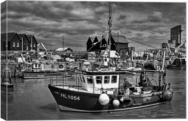 Catch of the Day at Whitstable Harbour  Canvas Print by Darren Galpin