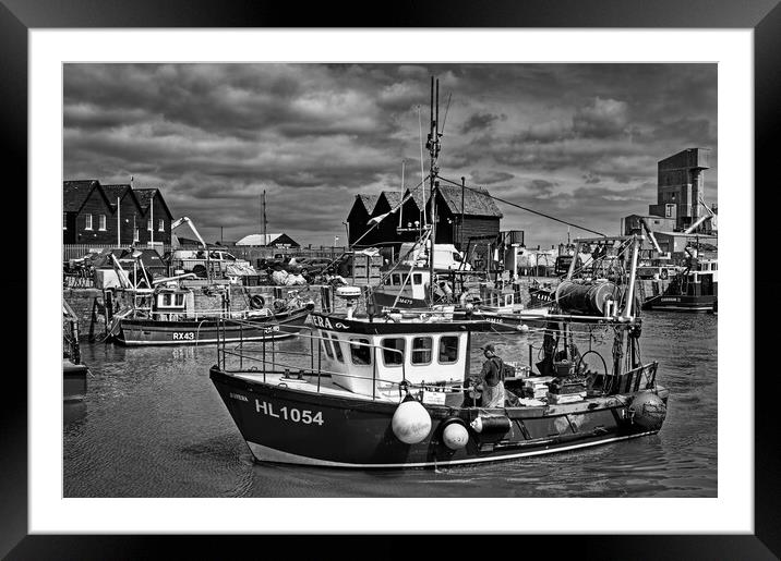 Catch of the Day at Whitstable Harbour  Framed Mounted Print by Darren Galpin