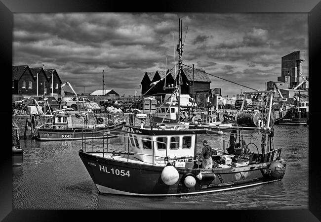 Catch of the Day at Whitstable Harbour  Framed Print by Darren Galpin