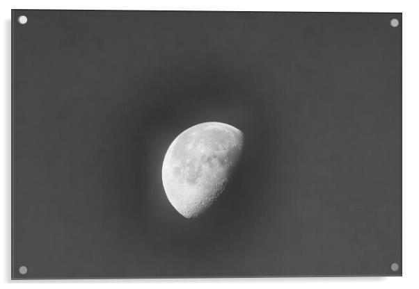 Moon 2023 Acrylic by Glen Allen