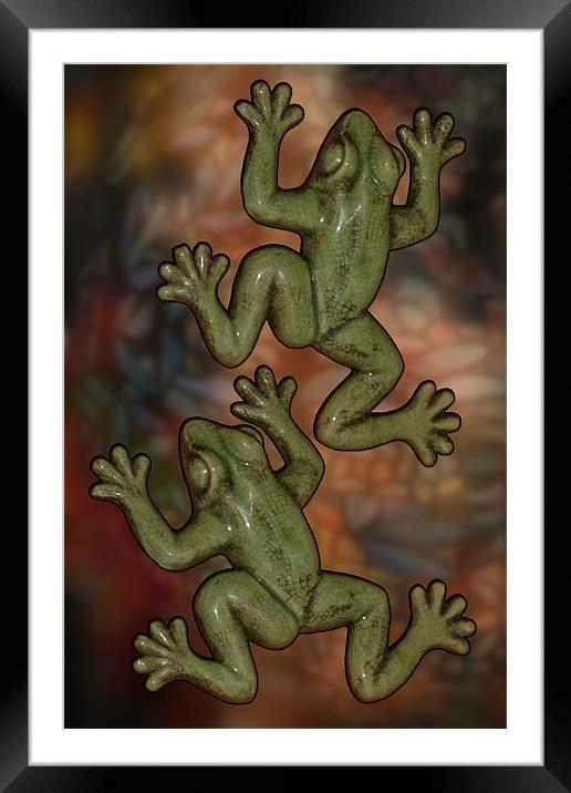 frogs 1 Framed Mounted Print by Tamma DuPree