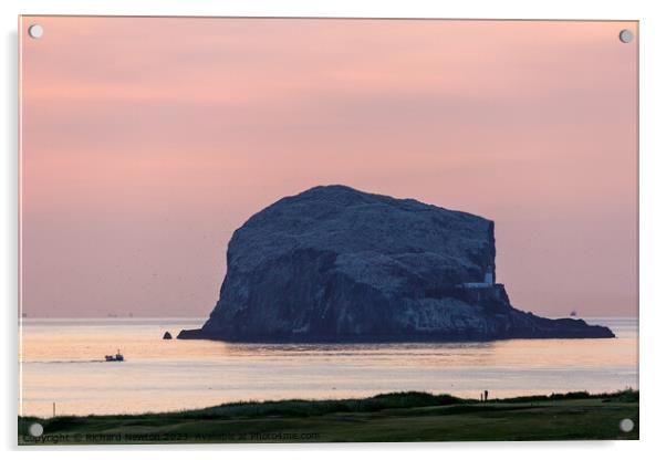 Bass Rock at Sunrise Acrylic by Richard Newton