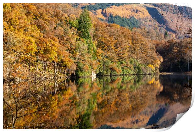 Autumn Colours reflected on Loch Ard in The Trossachs National Park, Scotland Print by Richard Newton