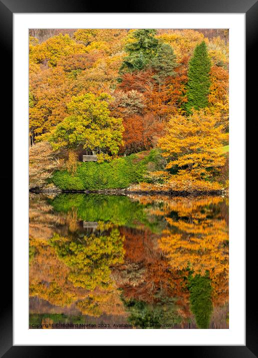 Autumn Colours reflected on Loch Ard in The Trossachs National Park, Scotland Framed Mounted Print by Richard Newton