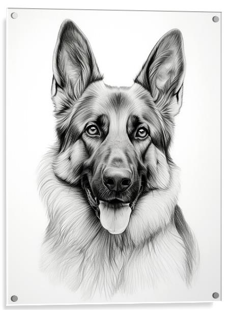 German Shepherd Dog Pencil Drawing Acrylic by K9 Art