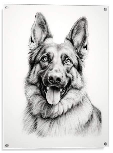German Shepherd Dog Pencil Drawing Acrylic by K9 Art