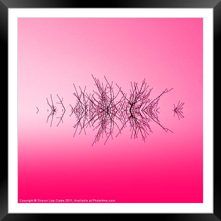 Raspberry Branches Framed Mounted Print by Sharon Lisa Clarke