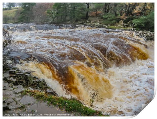 Low Force Waterfall, Teesdale, in full flood from the Pennine Way Print by Richard Laidler
