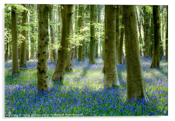 bluebell Woodland  Acrylic by Simon Johnson