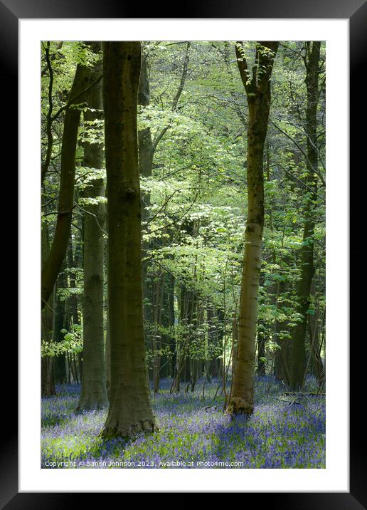 Bluebell Woodland  Framed Mounted Print by Simon Johnson